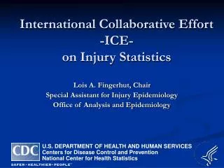 International Collaborative Effort -ICE- on Injury Statistics