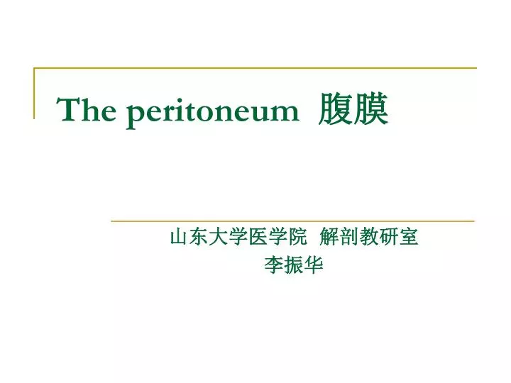 the peritoneum