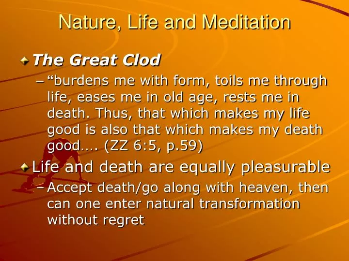 nature life and meditation