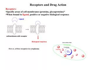 Receptors and Drug Action