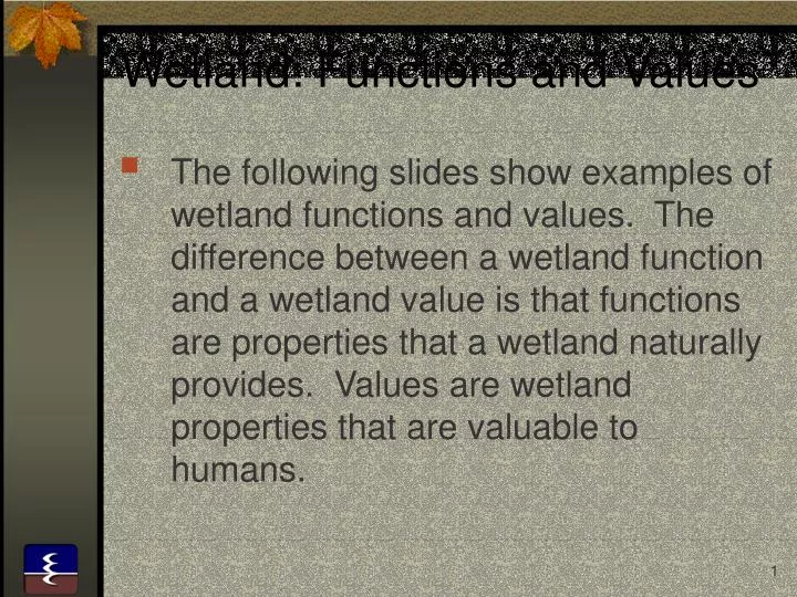 wetland functions and values
