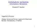 Carbohydrate metabolism Intermediary Metabolism - slide 1