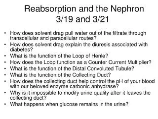Reabsorption and the Nephron 3/19 and 3/21