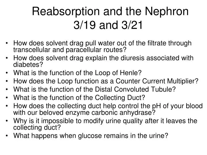 reabsorption and the nephron 3 19 and 3 21