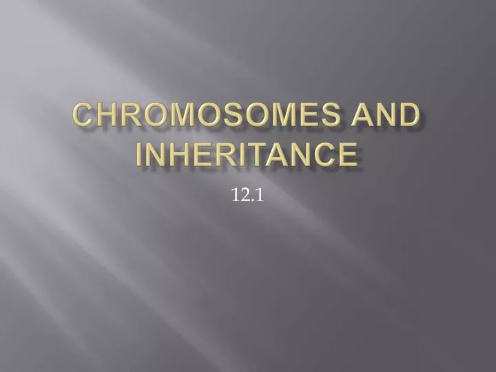chromosomes and inheritance