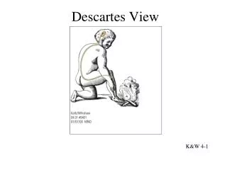 Descartes View