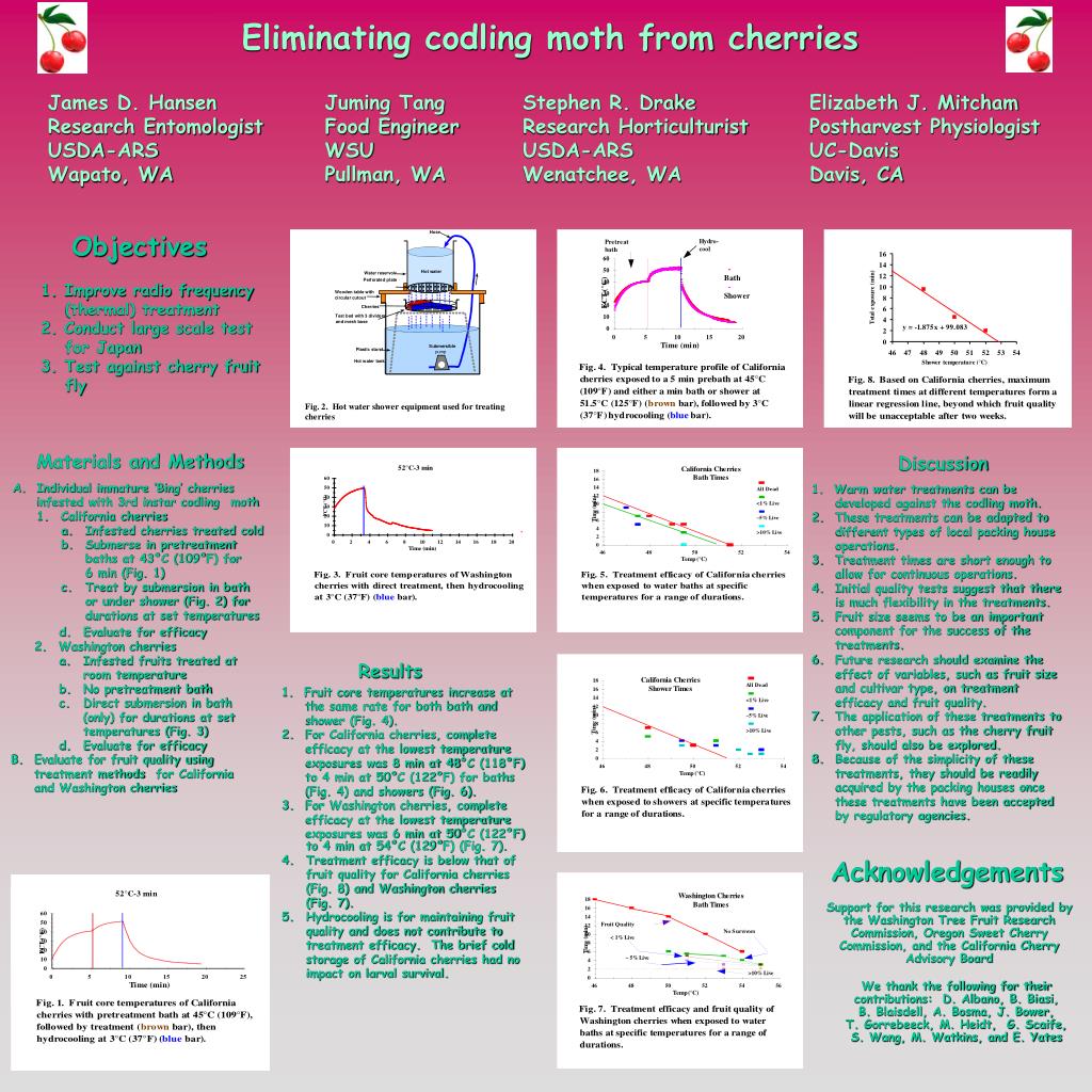 PPT - Materials and Methods PowerPoint Presentation, free download - ID ...