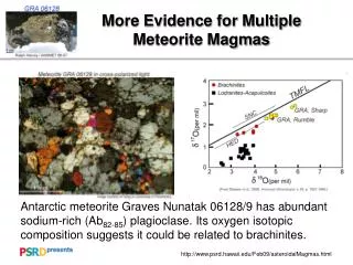 More Evidence for Multiple Meteorite Magmas