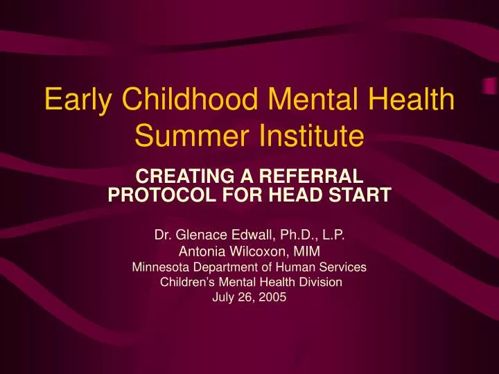 early childhood mental health summer institute