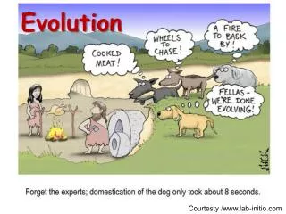 evolution