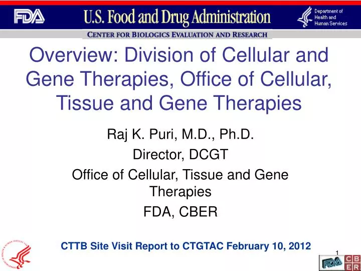 overview division of cellular and gene therapies office of cellular tissue and gene therapies