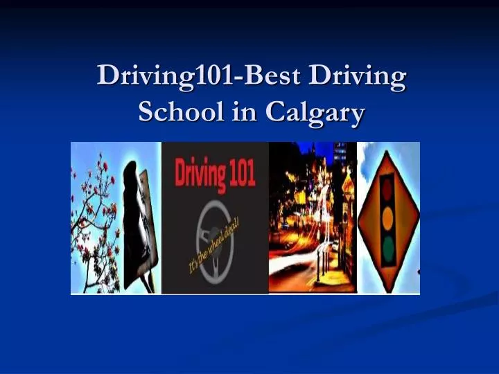 driving101 best driving school in calgary
