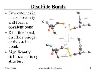Disulfide Bonds