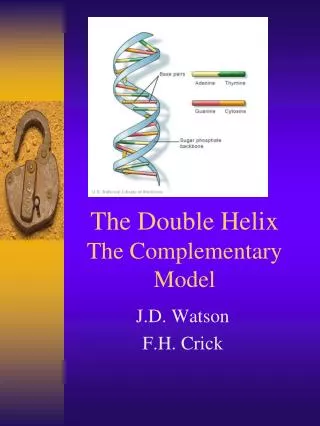 The Double Helix The Complementary Model