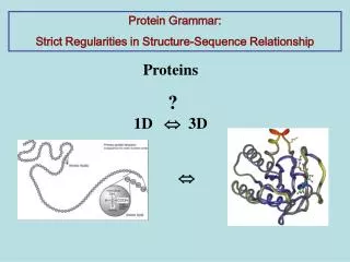 Proteins ? 1D ? 3D