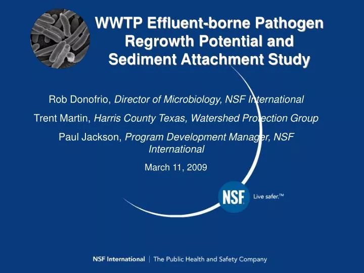 wwtp effluent borne pathogen regrowth potential and sediment attachment study