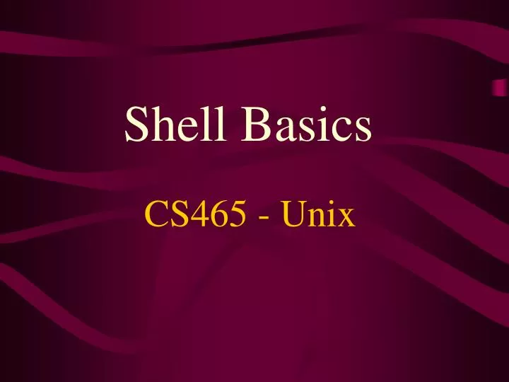 shell basics