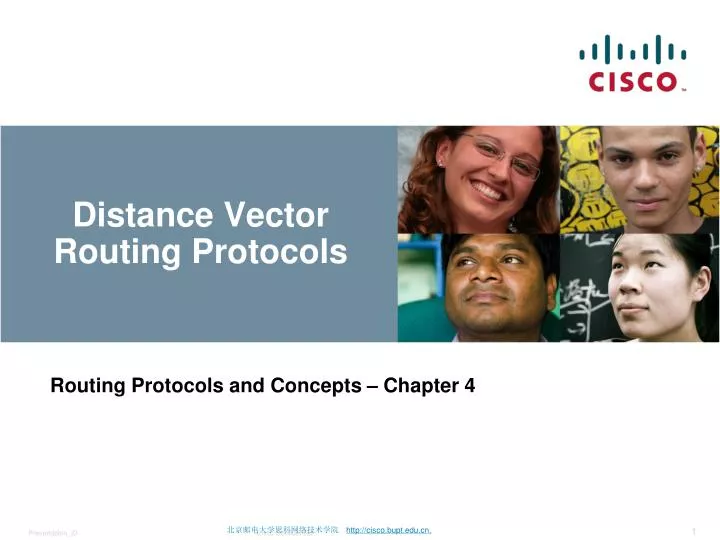 distance vector routing protocols
