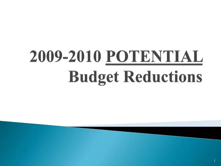 2009 2010 potential budget reductions