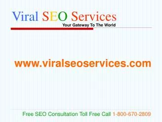 Viral SEO Services: Professional SEO SEM PPC SMO Company