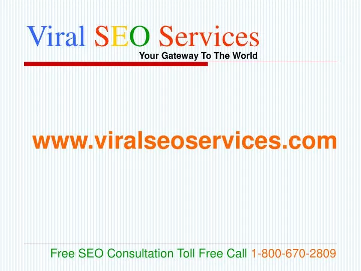 viral s e o services