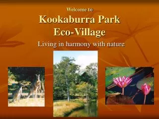 Welcome to Kookaburra Park Eco-Village