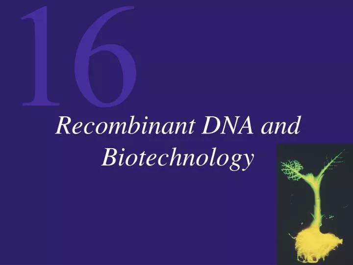 recombinant dna and biotechnology