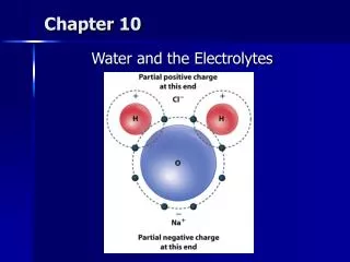 chapter 10