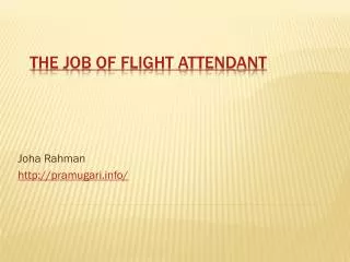 the job of flight attendant