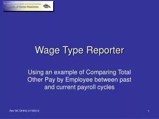 Wage Type Reporter