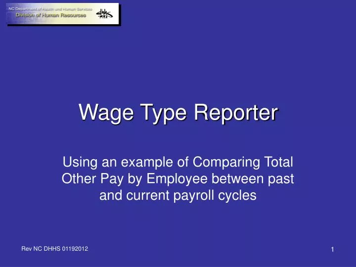 wage type reporter