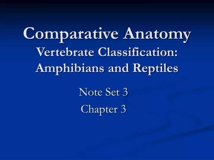 comparative anatomy vertebrate classification amphibians and reptiles