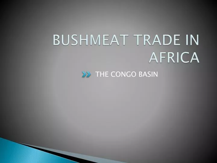 bushmeat trade in africa