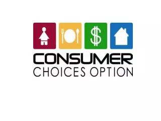 What is the Consumer Choices Option?