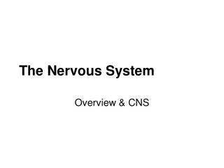 The Nervous System