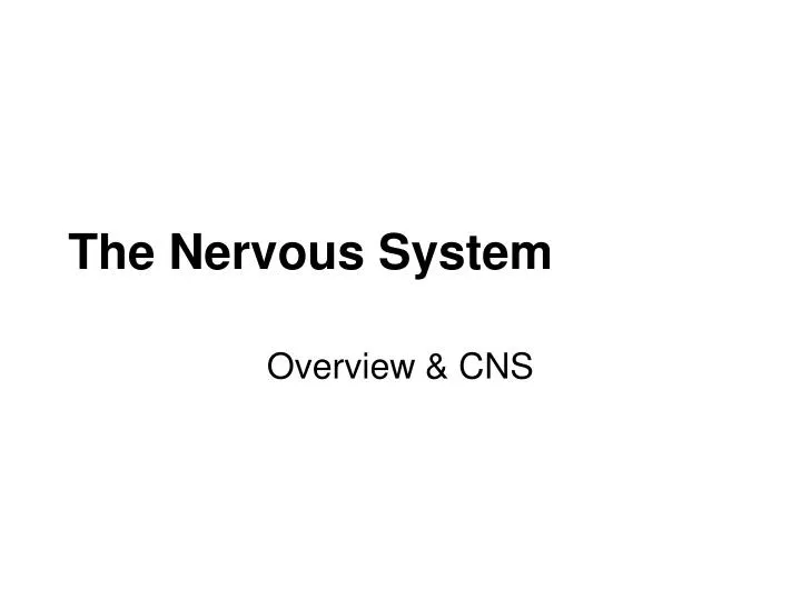 the nervous system