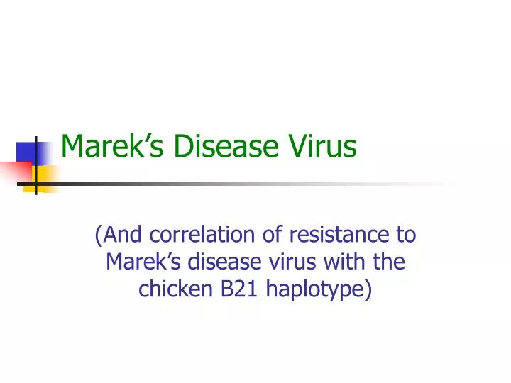 marek s disease virus