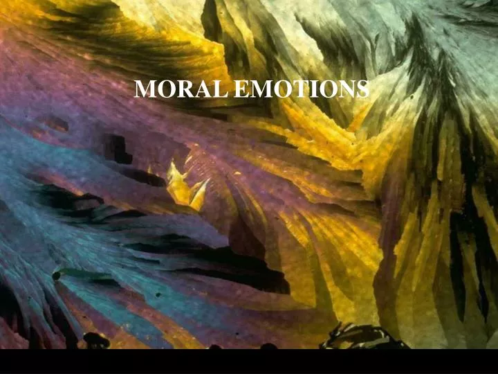 moral emotions