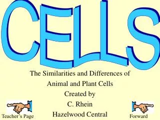 The Similarities and Differences of Animal and Plant Cells Created by C. Rhein Hazelwood Central