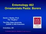 Entomology 462 Ornamentals Pests: Borers