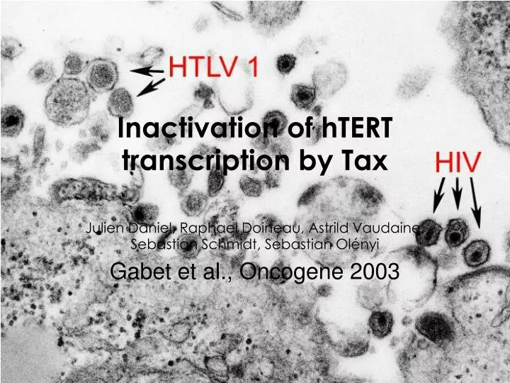inactivation of htert transcription by tax