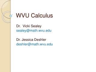 WVU Calculus