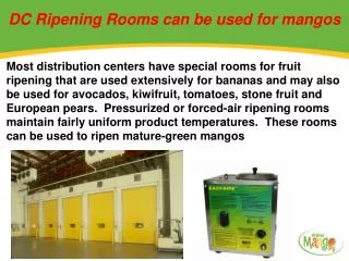 DC Ripening Rooms can be used for mangos