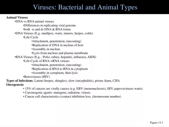 viruses bacterial and animal types