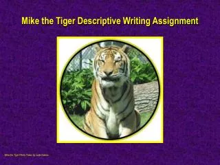 Mike the Tiger Descriptive Writing Assignment