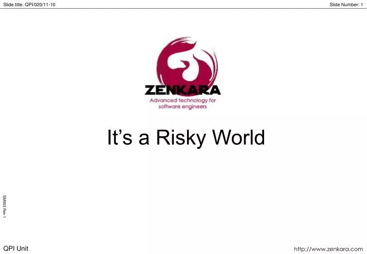 it s a risky world