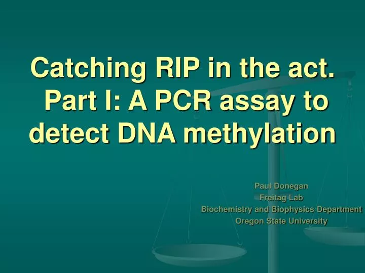 catching rip in the act part i a pcr assay to detect dna methylation