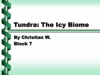 Tundra: The Icy Biome