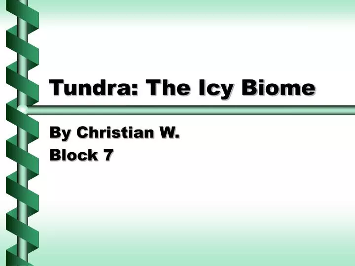 tundra the icy biome