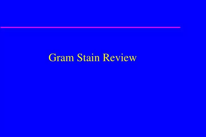 gram stain review